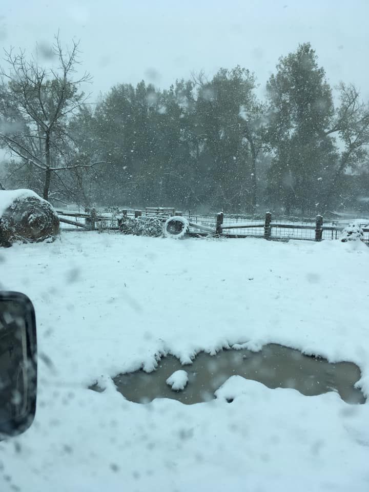 Snow, 10/14
